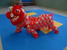 Foto Drache, dsc 00447